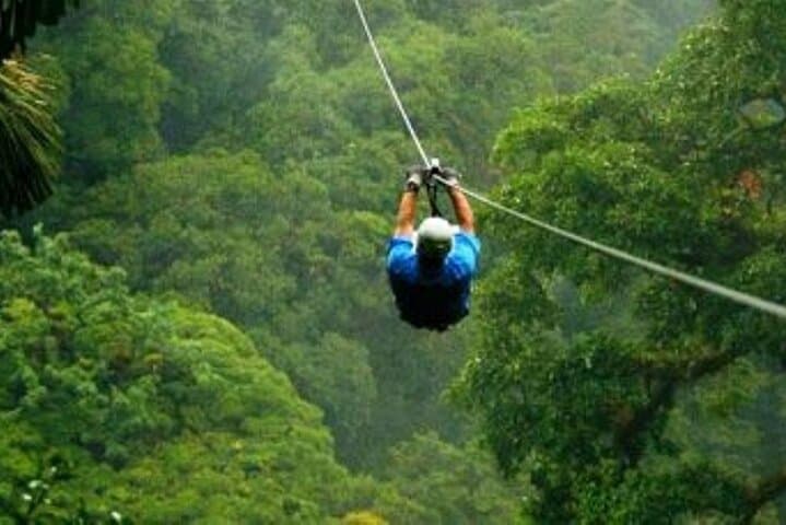 Kereita Forest Day Trip with Ziplining from Nairobi — Waterfalls, Trails & Adventure photo 1