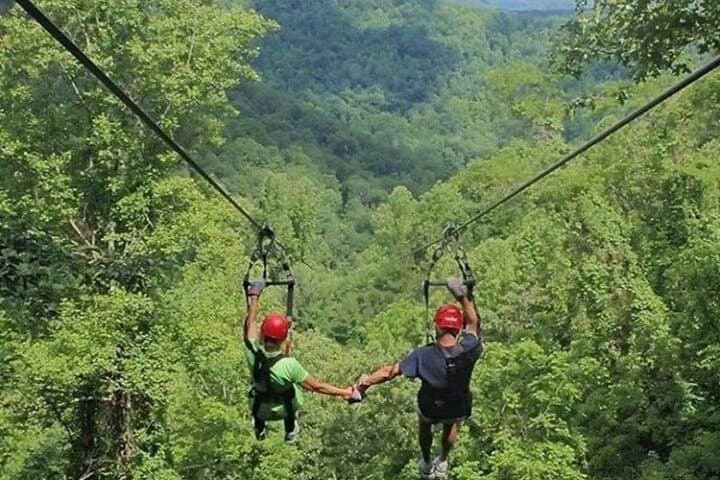 Kereita Forest Day Trip with Ziplining from Nairobi — Waterfalls, Trails & Adventure photo 3