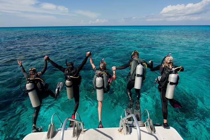 Ras Mohammed & White Island Boat Trip: Snorkel, Dive and Swim the Sinai Reefs photo 5