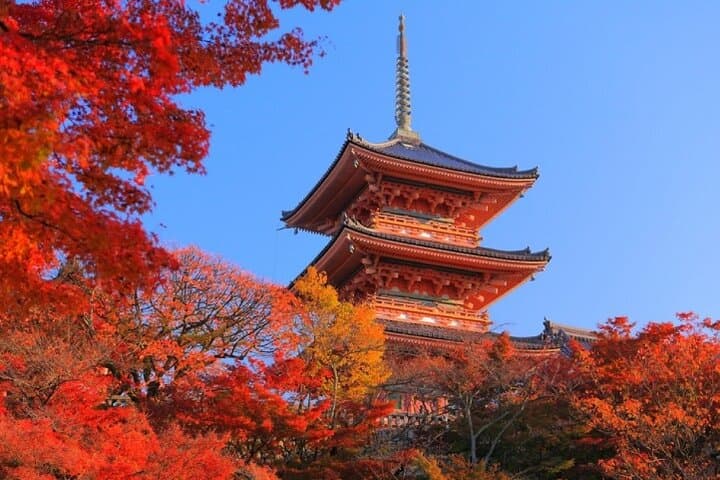 Private Osaka & Kyoto Day Tour by Charter Car — Kinkakuji, Fushimi Inari & Arashiyama photo 2