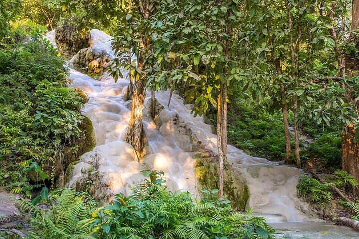 Climb Bua Thong Sticky Waterfalls: Chiang Mai Half‑Day Private Tour