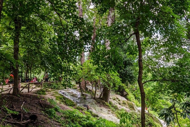 Climb Bua Thong Sticky Waterfalls: Chiang Mai Half‑Day Private Tour photo 2
