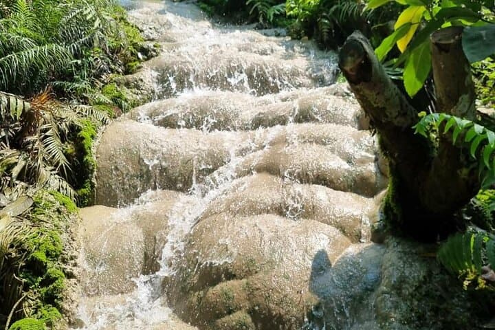 Climb Bua Thong Sticky Waterfalls: Chiang Mai Half‑Day Private Tour photo 4