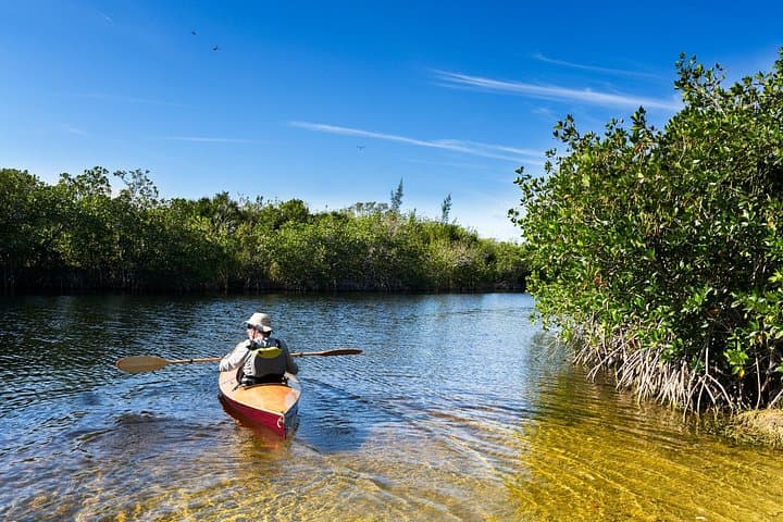 Clear-Bottom Kayak Mangrove Tour in Providenciales, Turks and Caicos photo 1