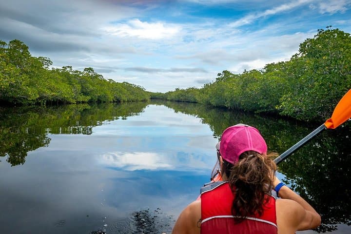 Clear-Bottom Kayak Mangrove Tour in Providenciales, Turks and Caicos photo 2