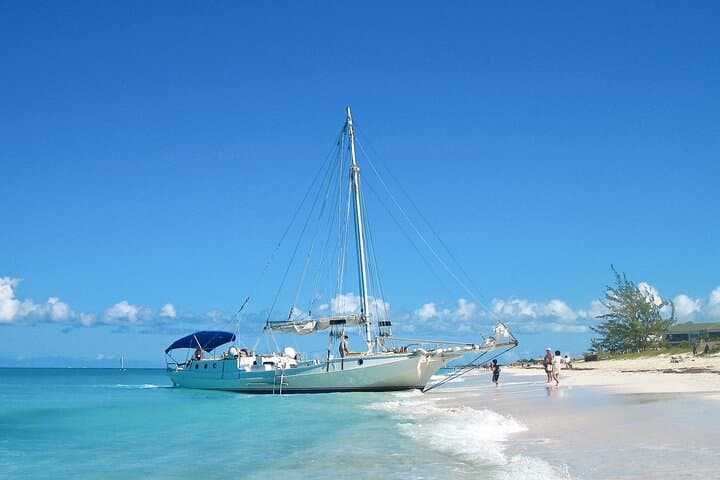 Private Providenciales Snorkel Tour & Iguana Island — Grace Bay Excursion