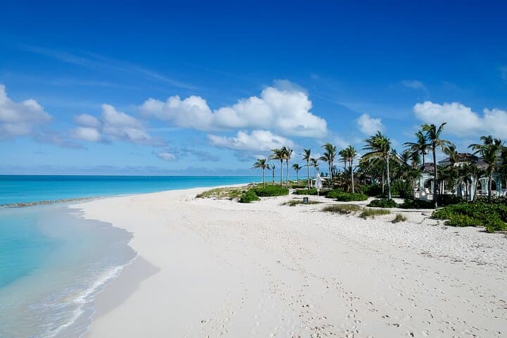 Private Providenciales Snorkel Tour & Iguana Island — Grace Bay Excursion photo 2