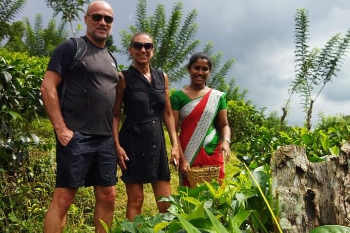 Ceylon Tea Shore Excursion from Colombo Port — Plantation Tour & Colombo Highlights photo 6