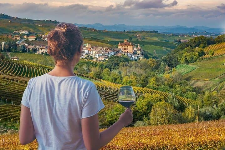 Langhe Wine Tour from Alba & Turin — Barolo and Barbaresco Tasting with Lunch
