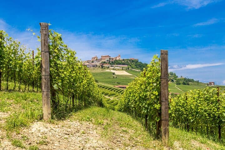 Langhe Wine Tour from Alba & Turin — Barolo and Barbaresco Tasting with Lunch photo 4