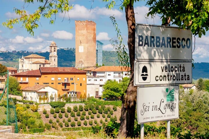 Langhe Wine Tour from Alba & Turin — Barolo and Barbaresco Tasting with Lunch photo 3