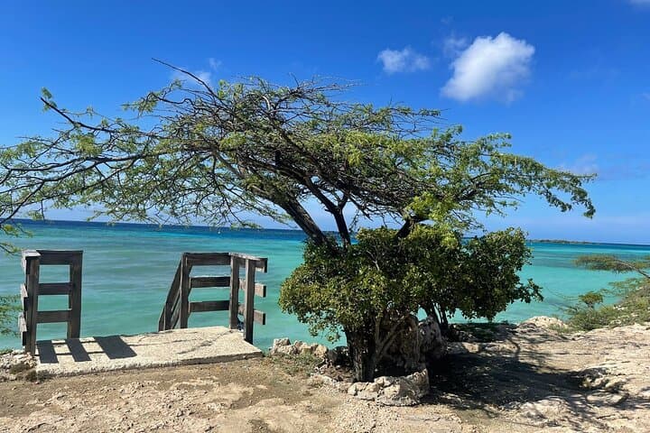 Private VIP Aruba Tours — California Lighthouse, Casibari & Arashi Beach photo 4