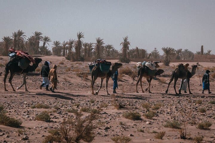 6-Day Desert Hike Through Morocco’s Drâa Valley: M'hamid to Erg Zmila photo 3