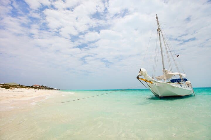 Grace Bay Private Tour: Snorkel Stingrays, See Rock Iguanas & Island Sights
