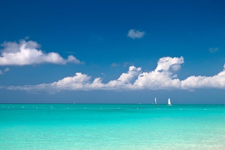 Grace Bay Private Tour: Snorkel Stingrays, See Rock Iguanas & Island Sights photo 2