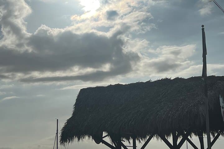 Cruise, Cliff Dive, and Revel on Negril's 7 Mile Beach photo 3