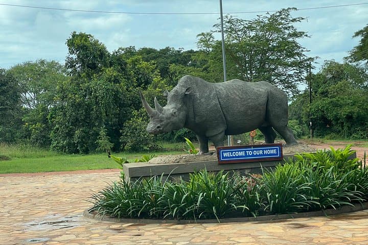 Three Days at Murchison Falls: Chimp Trekking, Rhino Tracking & Nile Boat Safari photo 5