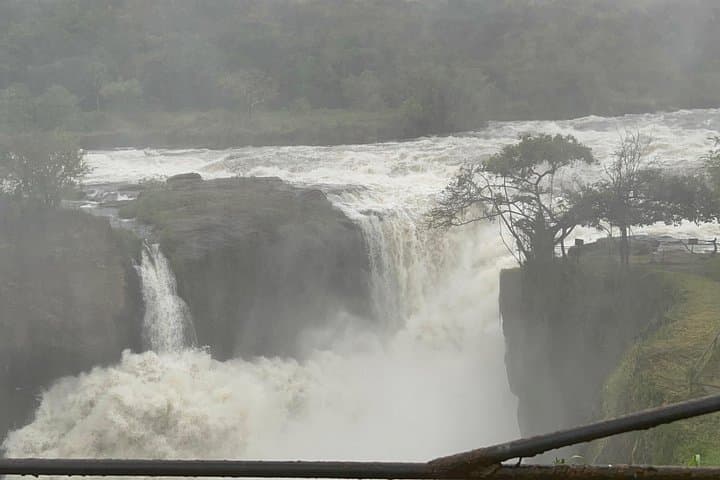 Three Days at Murchison Falls: Chimp Trekking, Rhino Tracking & Nile Boat Safari photo 6