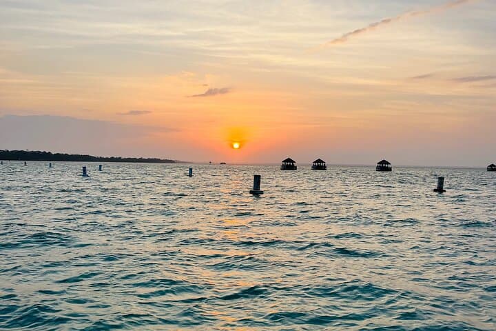 Destin Sunset Cruise: Dolphin-Watching Eco Tour on Choctawhatchee Bay photo 4
