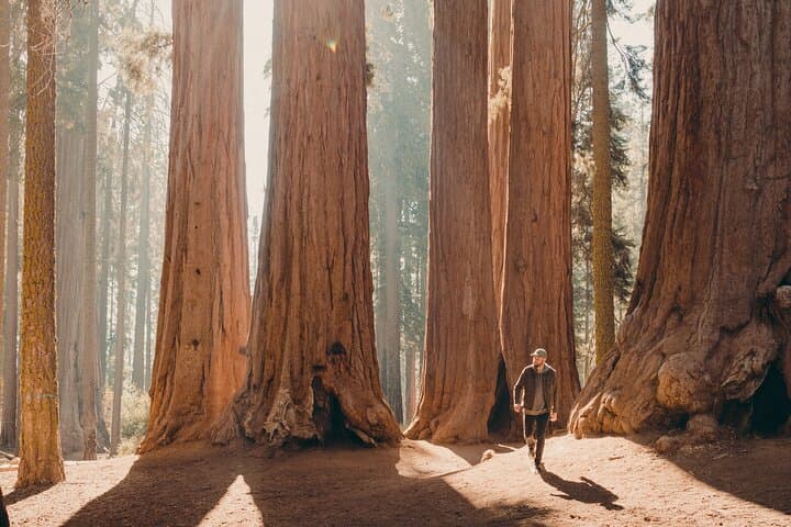 Two-Day Private Tour & Hike in Sequoia and Kings Canyon — Giant Sequoias, Moro Rock & Zumwalt Meadow