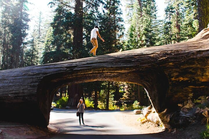 Two-Day Private Tour & Hike in Sequoia and Kings Canyon — Giant Sequoias, Moro Rock & Zumwalt Meadow photo 2