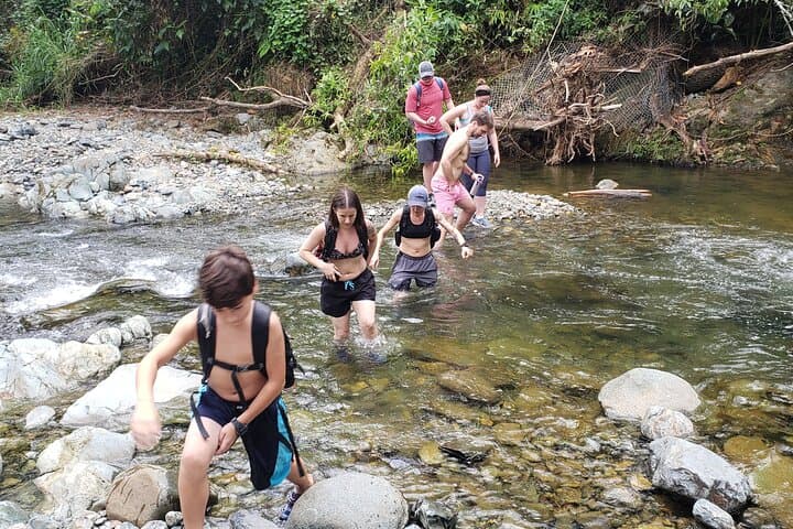 El Yunque Rainforest River Hike: Waterfalls, Rope Swings & Natural Water Slides photo 5