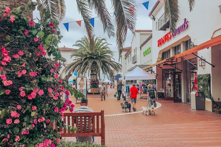 Coastal Outlet Run: Private Shopping Tour from San Diego to Outlets at San Clemente