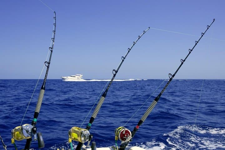 Private Deep-Sea Fishing on the Wahooters — Providenciales Half-Day Charter photo 1