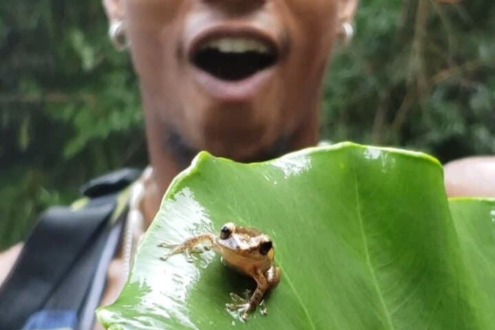 El Yunque Rainforest River Hike: Waterfalls, Rope Swings & Natural Water Slides photo 3