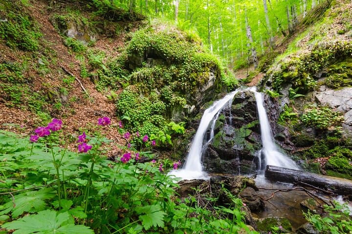 Full-Day Private Tour to Mindo Cloud Forest: Waterfalls, Wildlife & 530m Cable Car photo 2
