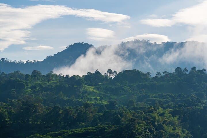 Full-Day Private Tour to Mindo Cloud Forest: Waterfalls, Wildlife & 530m Cable Car photo 3