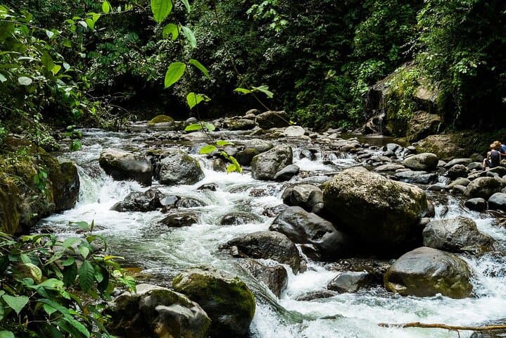 Full-Day Private Tour to Mindo Cloud Forest: Waterfalls, Wildlife & 530m Cable Car photo 6