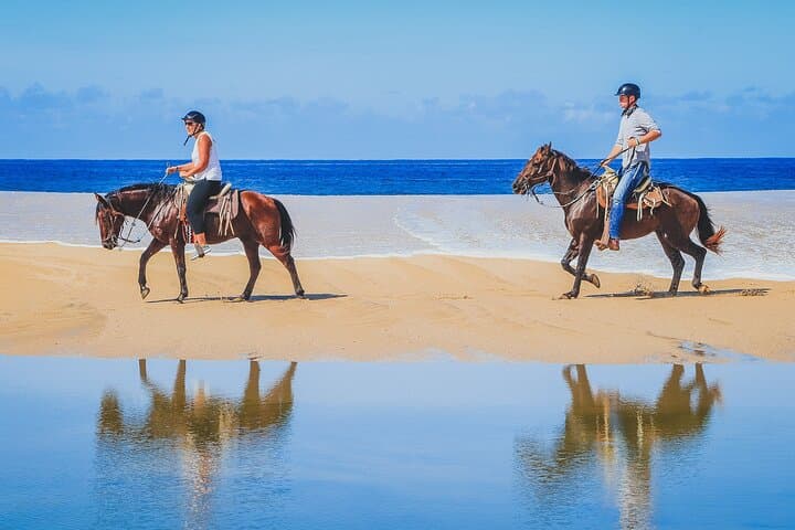 Beach Horseback Riding in Los Cabos — Pacific Coast Horse Ride photo 6