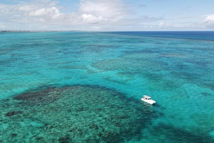 Private Seaside Scavenger Hunt & Conch-Hunting Tour in Providenciales