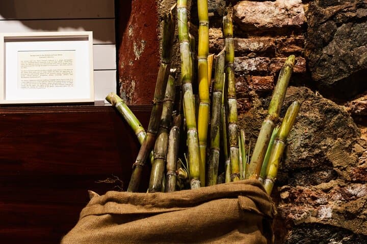 Old Barrel House Rum Tasting — Charlotte Amalie Sugarcane & Barrel-Aged Rums photo 5