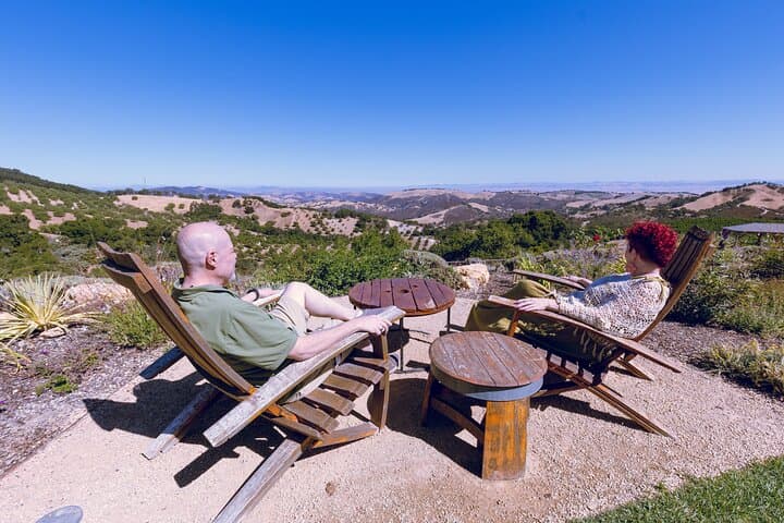 Paso Robles 3-Winery Tour — All-Inclusive Tasting & Picnic Experience photo 2