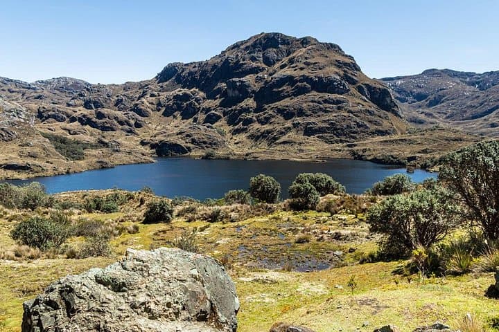 Half-Day Private Tour to Cajas National Park from Cuenca — High Andean Lakes & Polylepis Hike photo 1