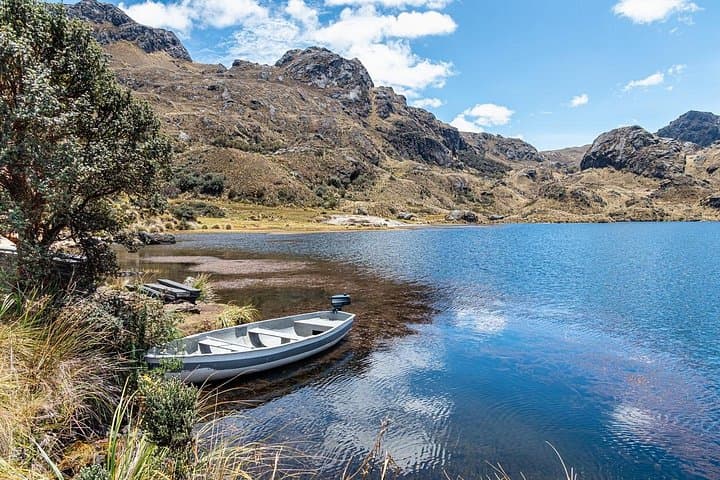 Half-Day Private Tour to Cajas National Park from Cuenca — High Andean Lakes & Polylepis Hike photo 3
