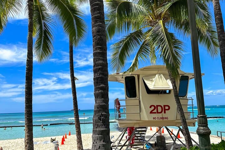 Oahu Circle-Island Small-Group Tour: Waikiki to the North Shore photo 3