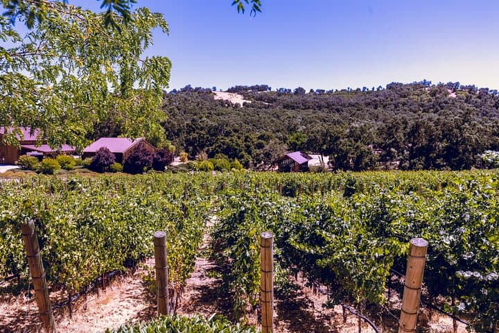 Private 5-Hour Paso Robles Wine Country Transportation: Custom Wine Tasting Tour photo 3
