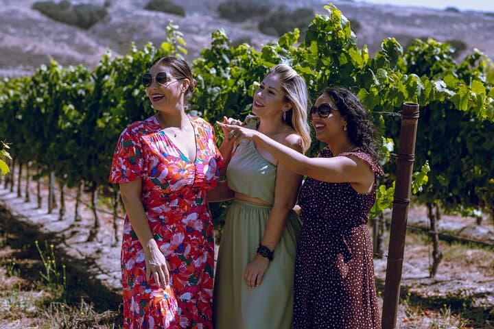 Santa Ynez 3-Winery Wine Tour with Picnic Lunch — Grapeline Tasting Experience photo 2