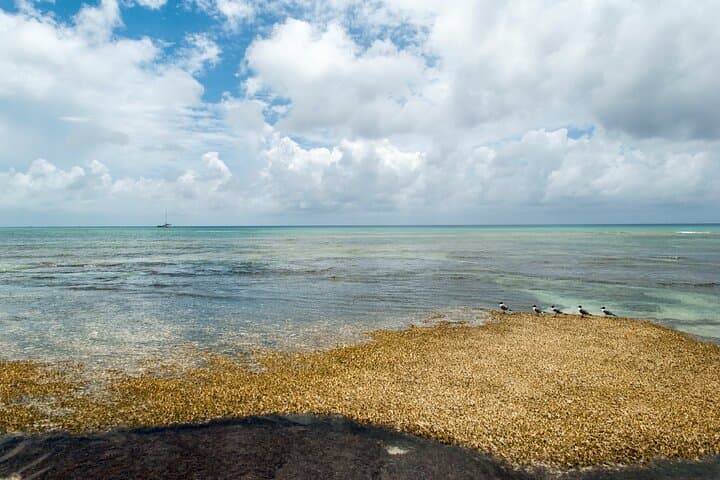 Cockburn Town Cultural Tour with Rum Cake — Grand Turk Shore Excursion photo 2