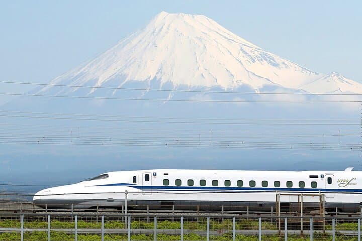Mt Fuji & Hakone Day Trip from Tokyo: Sky Gondola, Lake Cruise & 5th Station photo 2