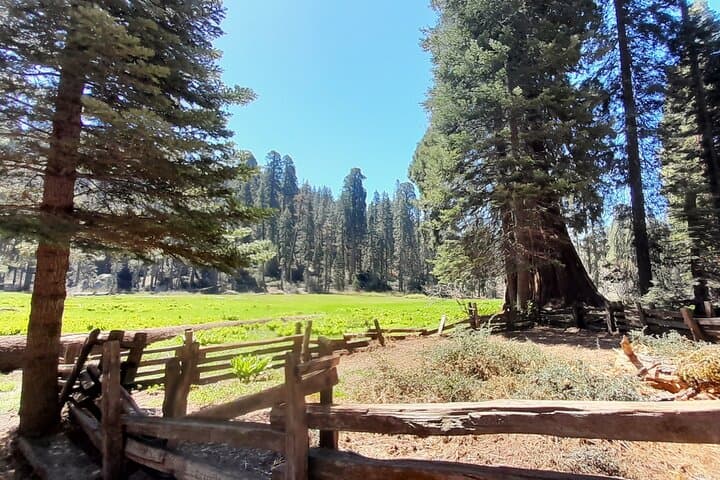 Private Winter Sequoia Tour with Former Park Rangers — 4-Hour Sequoia & Kings Canyon Experience photo 5