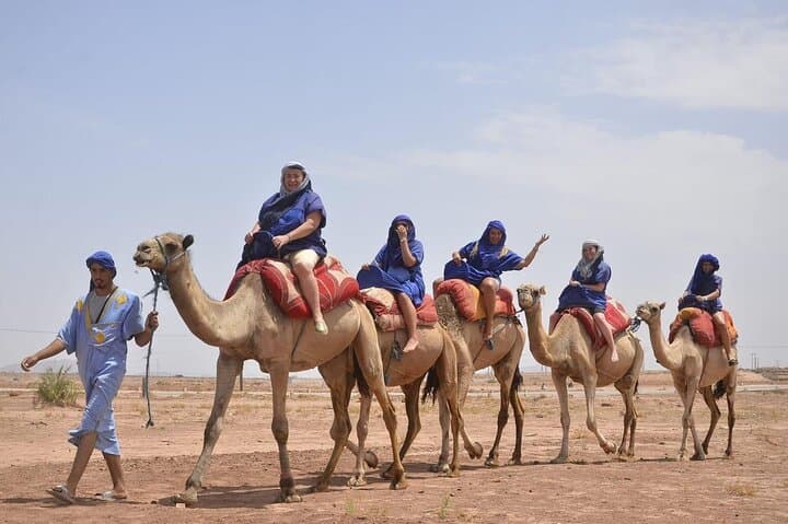Sunset Camel Ride in Marrakech’s Palmeraie: Palm Groves, Berber Villages & Mint Tea photo 4
