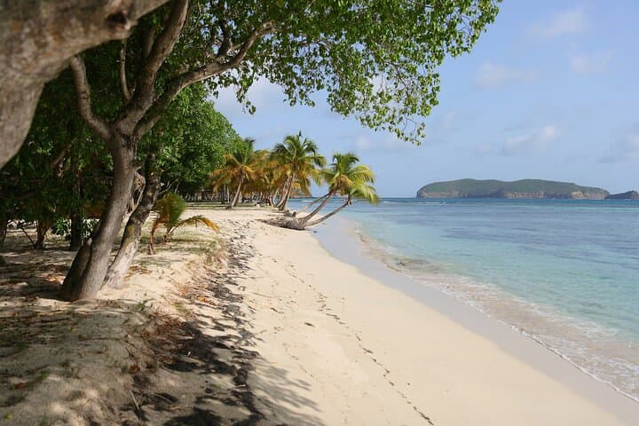 Buccament Beach Private Tour: Half-Day Beach Escape from Kingstown photo 6
