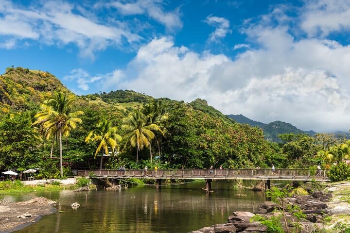 Dark View Falls & Buccament Bay Private Tour — Waterfalls, Volcano Views & Beach Time from Kingstown