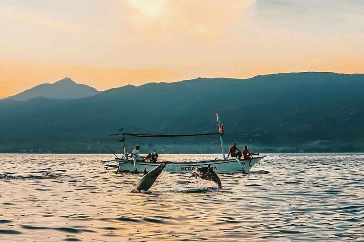 Lovina Sunrise Dolphin Cruise, Gitgit Waterfall & Ulun Danu — Private Day Trip photo 4