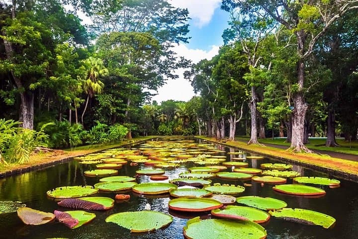 Mauritius Northern Coast Private Full-Day Tour: Port Louis, Pamplemousses & Mont Choisy photo 1