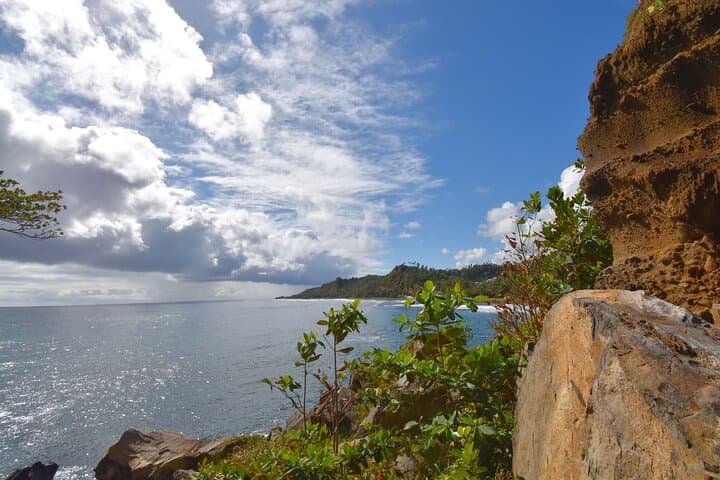 Private Tour: Owia Salt Pond & Black Point Tunnel — St. Vincent Coastal Excursion photo 2